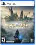 Диск для PS5 Hogwarts Legacy фото в интернет-магазине flywares.ru