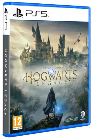 Диск для PS5 Hogwarts Legacy фото в интернет-магазине flywares.ru