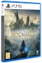 Диск для PS5 Hogwarts Legacy фото в интернет-магазине flywares.ru
